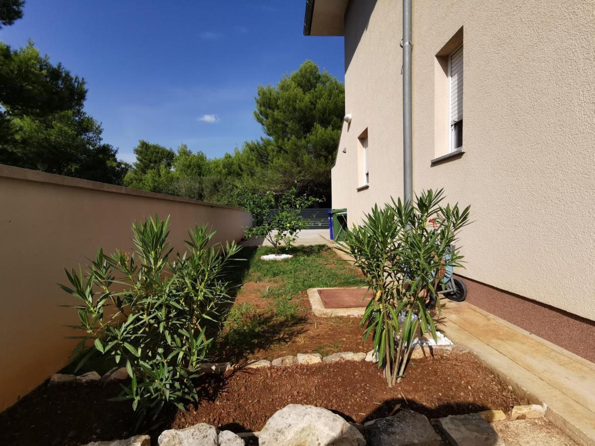 Apartment Dundo In Quiet Green Area Медулин Экстерьер фото